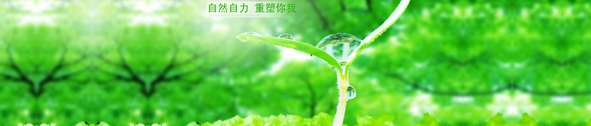重慶IT解決方案